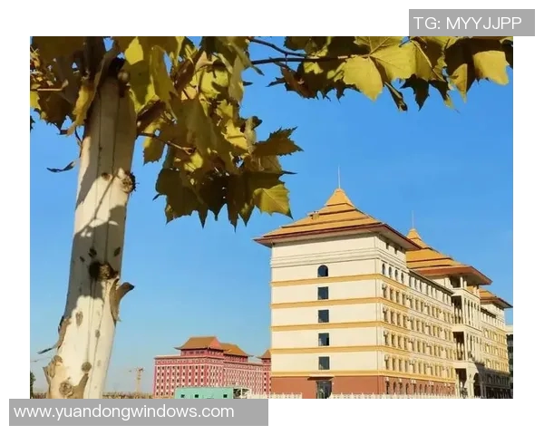 重庆网球队的崛起之路：从默默无闻到总决赛的辉煌历程