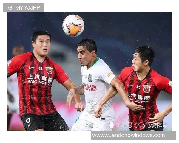 上海排球队以76分稳居联赛积分榜首位展现强劲实力