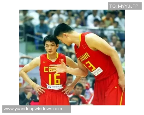 武汉篮球队战术解析与对比分析揭示球队胜负关键因素