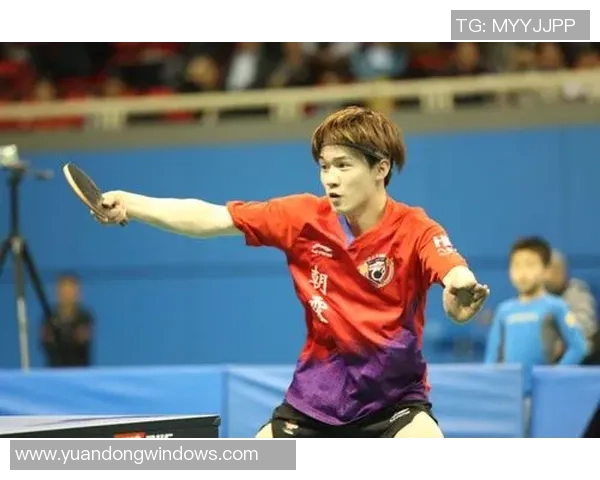 杭州乒乓球队在精英赛中的强势表现与未来发展潜力分析